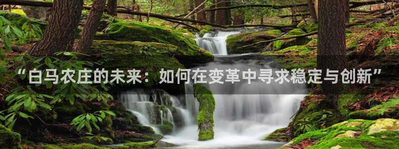 天辰娱乐会员
