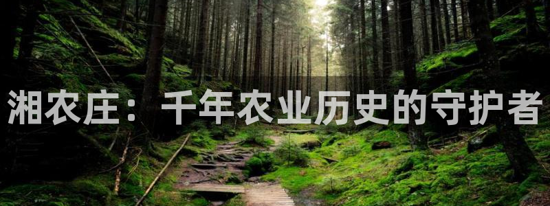 天辰娱乐视频