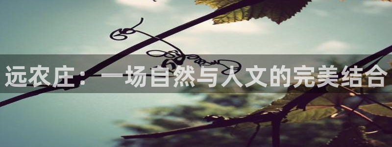 天辰娱乐维护