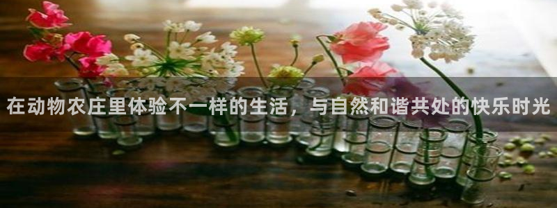 天辰娱乐APP下载