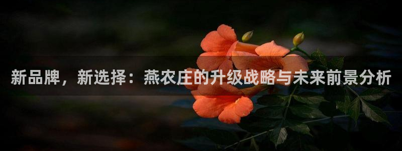 天辰娱乐在线登录注册