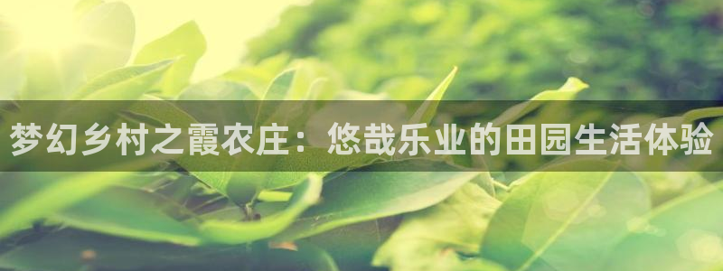 娱乐ktv天辰