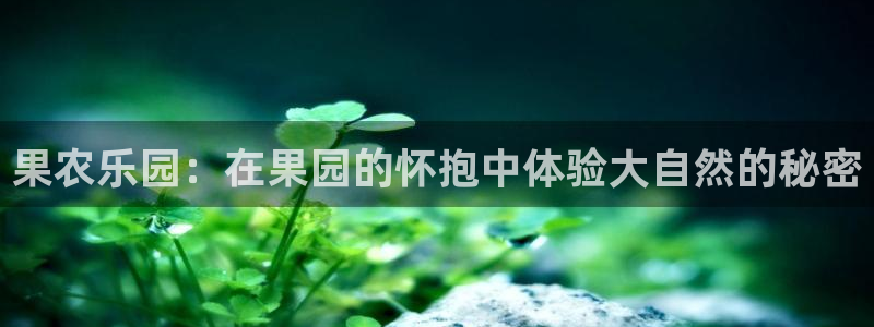天辰娱乐728567