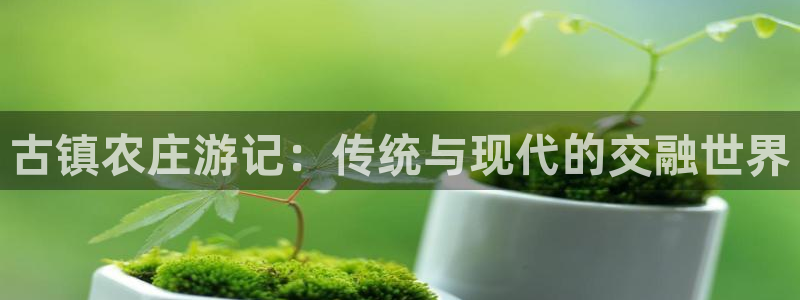 天辰娱乐视频