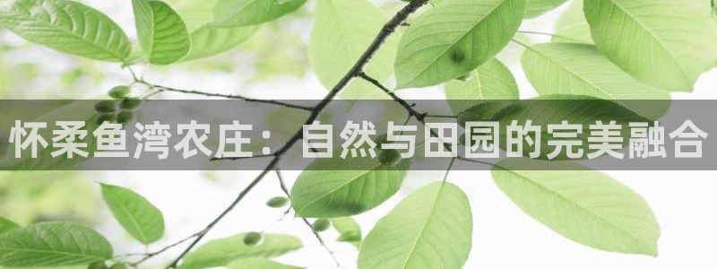 天辰娱乐在线