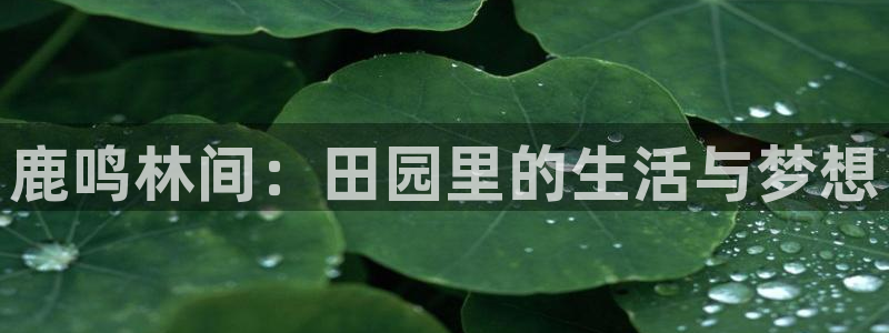 天辰娱乐在线登录注册