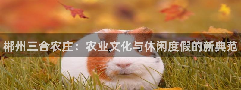 天辰娱乐娱乐平台