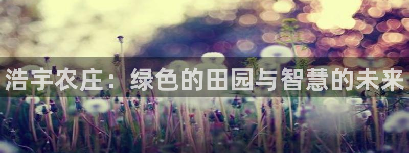 天辰国际娱乐