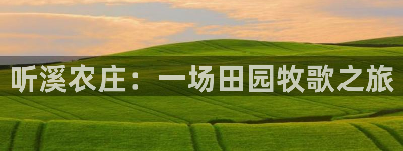 天辰娱乐平台地址