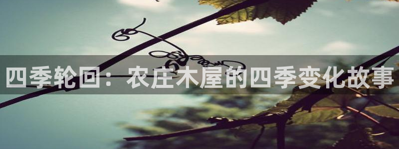 天辰天辰娱乐