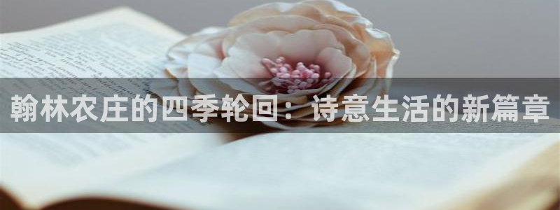 集宁天辰娱乐