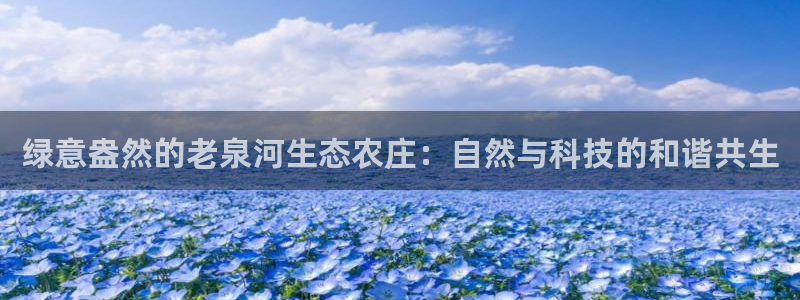 天辰娱乐路线
