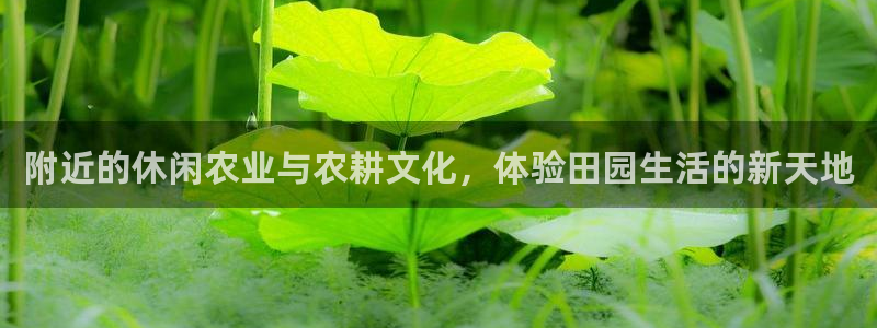 天辰娱乐885544
