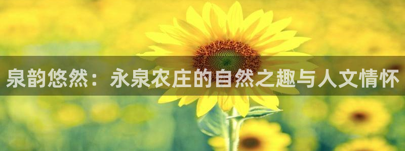 辰天娱乐用品
