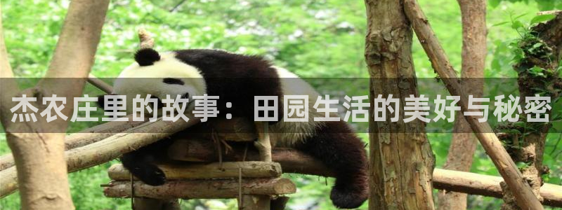 天辰娱乐跑的快