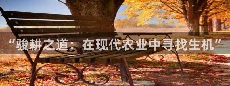 天辰娱乐网址娱乐游戏