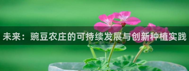 天辰娱乐平台app下载