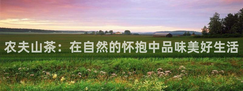 天辰娱乐娱乐平台