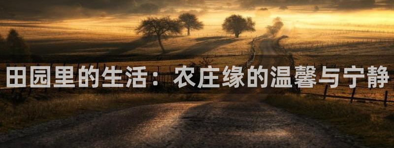 天辰娱乐怎么样