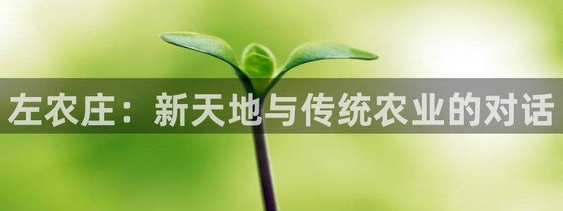 天辰娱乐675138