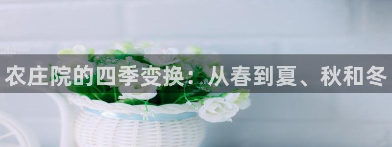 天辰娱乐51137