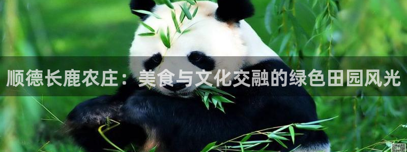 天辰娱乐彩票
