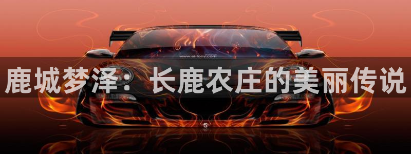 天辰娱乐网