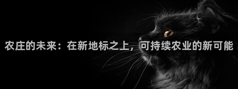 天辰娱乐代理
