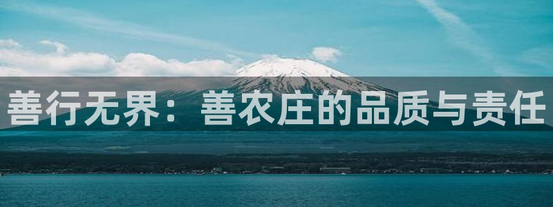 天辰娱乐下载链接