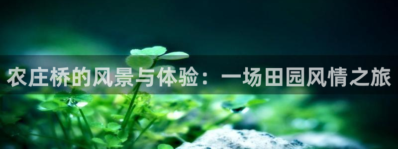 天富娱乐与天辰娱乐