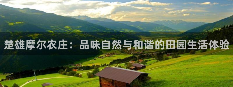 天辰宝娱乐